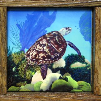 "Aloha Honu"