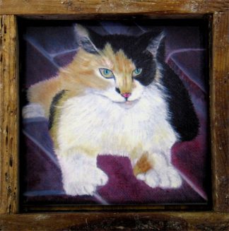 "Ava Gardner" A Famous Hemingway Cat
