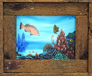 "Coral Community"