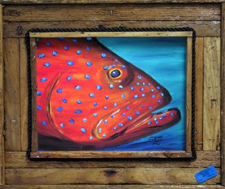 "Coral Grouper"