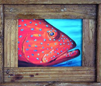 "Coral Grouper"