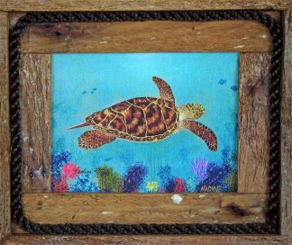 "Hawksbill Turtle On The Reef"