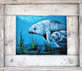 "Momma Manatee"