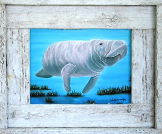 "Mr. Manatee"