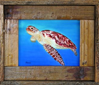 "Sea Dweller"