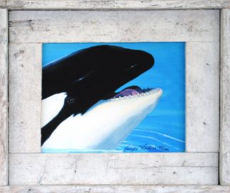 "Smiling Orca"