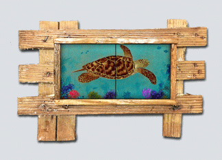 "Hawksbill Turtle On The Reef"