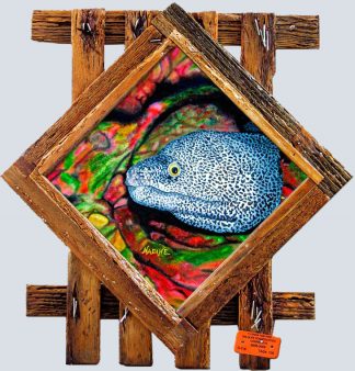"Eel Diamond"