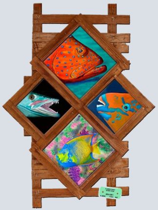 "Reef Dwellers"