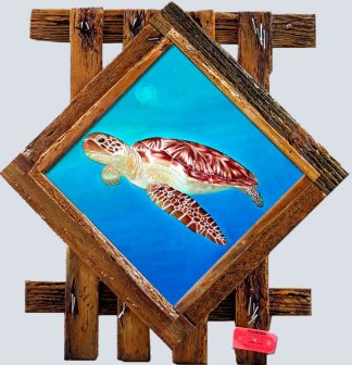 "Sea Dweller"