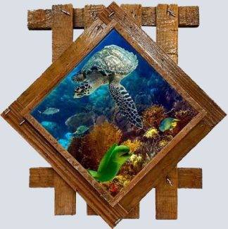 Turtle and Moray