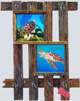 "Two Turtles"