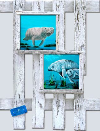 "Manatee Family"