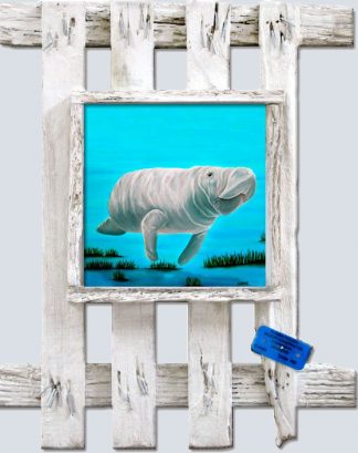 "Mr. Manatee"