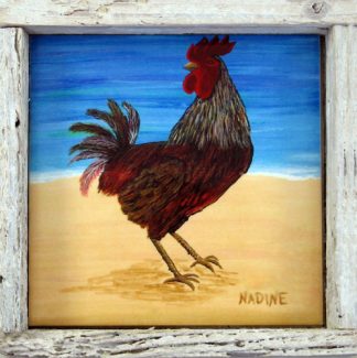 "Beach Bum"