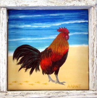 "Beachcomber"