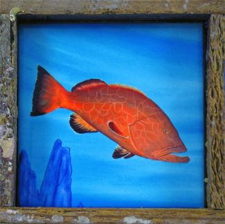 "Black Grouper"