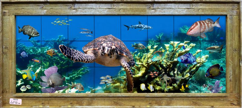 "Looe Key Reef"