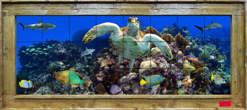 "Shark Reef"