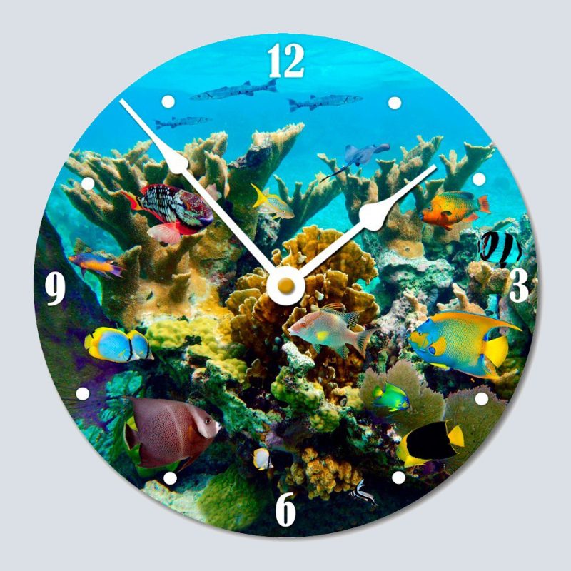 "Coral Jetty"