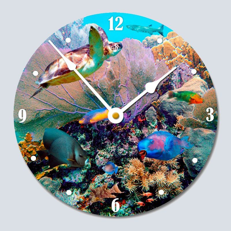 "Fans and Fishes"