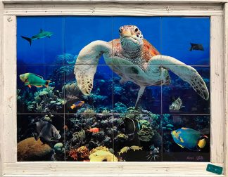 "Coral Canyon" Tile Mural