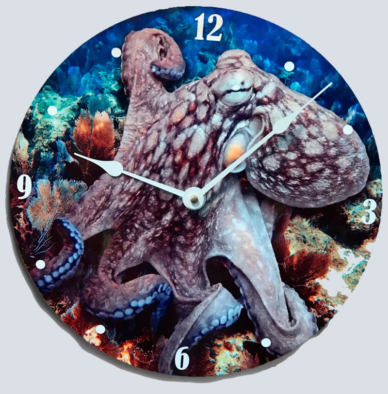 "Octopus on the Reef"