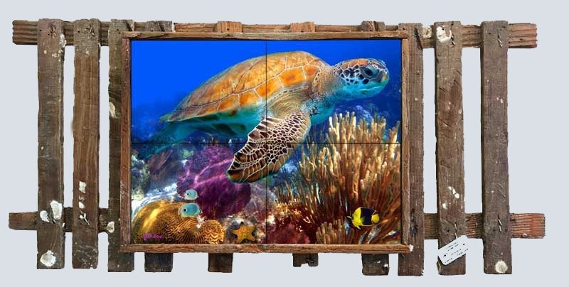 Turtle With Purple Seafan