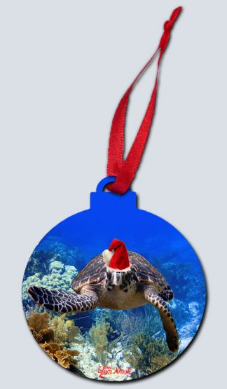 "Christmas Turtle"