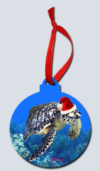 "Christmas Turtle Deep on the Reef"