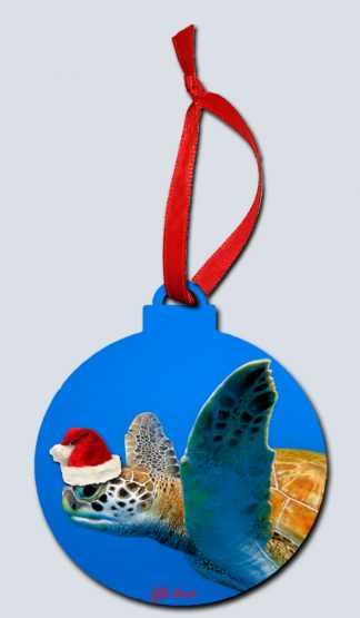 "Christmas Turtle Up Close"