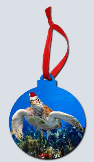 "Christmas Turtle Over the Seafans"