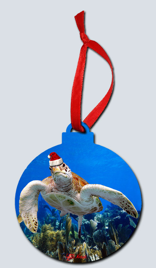 "Christmas Turtle Over the Seafans"