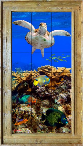 "REEF TOP FLYER"