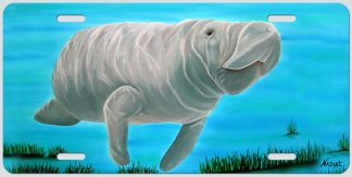 "MR. MANATEE"