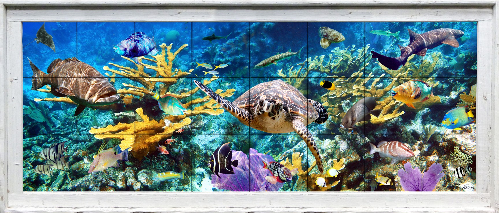 Coral＆Tusk フレームアート Coral＆Tusk フレームアート CORAL & TUSK｜自然に寄り添う、あたたか