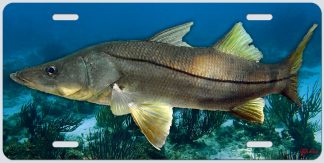 "SNOOK"