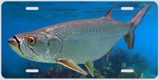 "TARPON ON THE REEF"