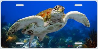"TURTLE WITH CORALS"