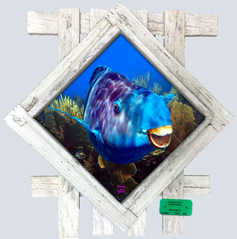 "Blue for You"