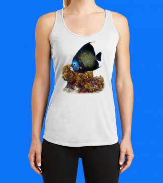 FRENCH ANGELFISH