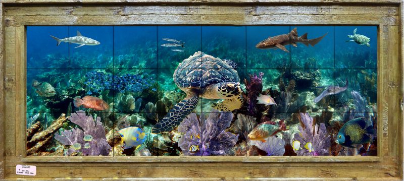 "French Reef"