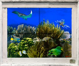 "Morays Garden" Tile Mural