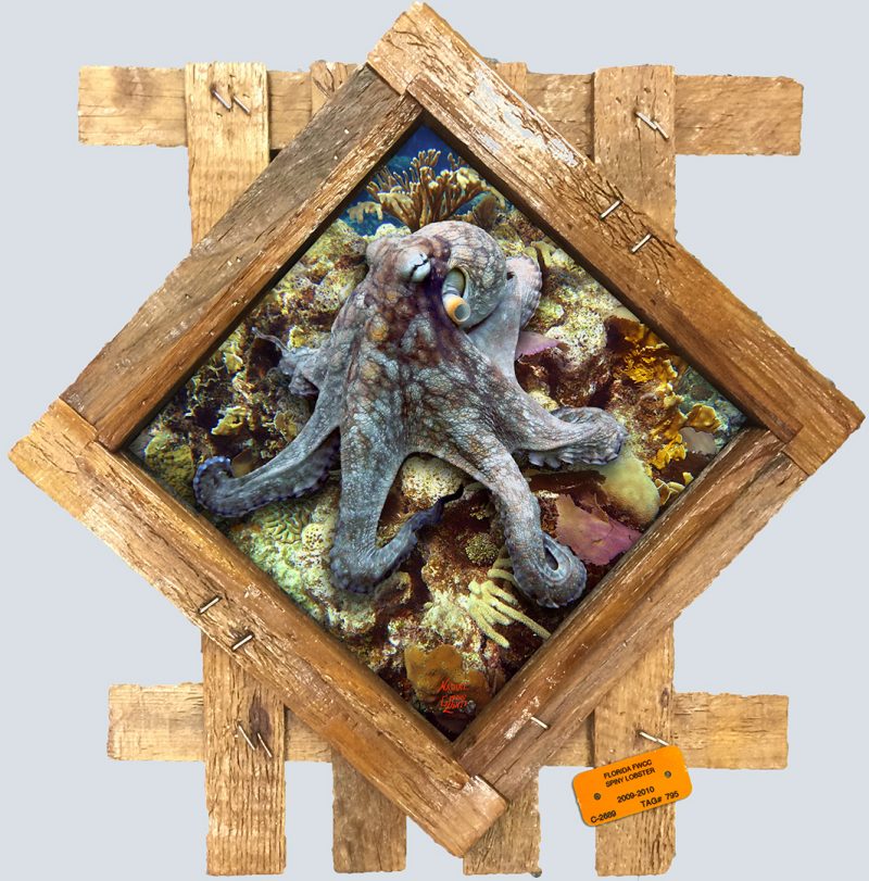 "Octopus on the Reef"