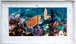 "Patch Reef" Tile Mural