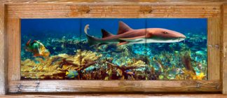 "Prowling The Shallows" Tile Mural