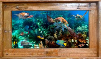 "Reef Rendezvous" Tile Mural