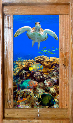 "Reef Top Flyer" Tile Mural