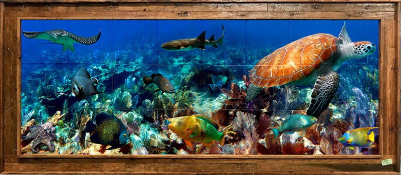 "Seafan Garden"