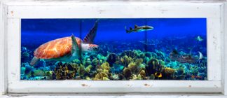 "Seafan Shoal" Tile Mural
